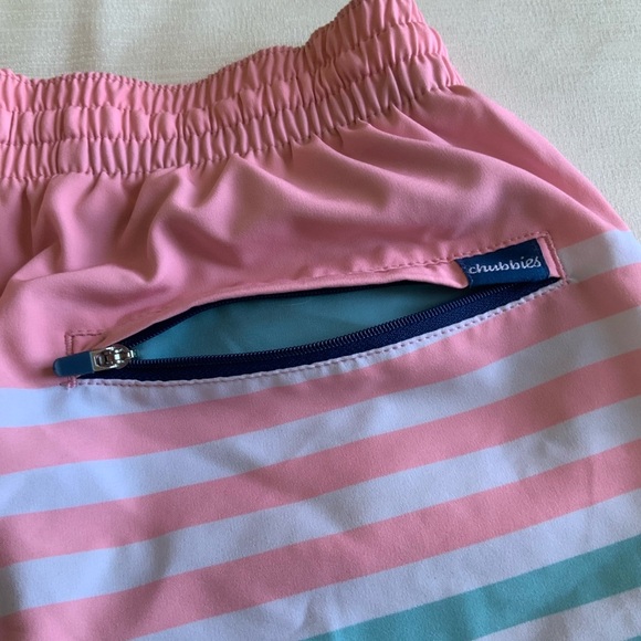 Chubbies Pink and Blue Striped Athletic Shorts - Picture 4 of 8